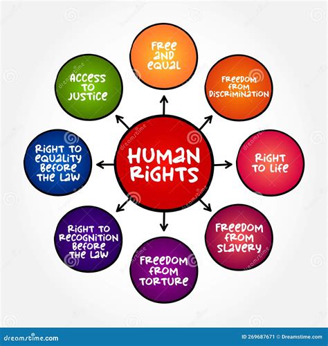 Human Rights Are Moral Principles Or Norms For Certain Standards Of