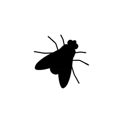 House Fly Silhouette Illustrations Royalty Free Vector Graphics And Clip
