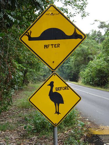 Amper Bae Funny Traffic Signs