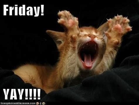 Happy friday memes | www.textmemes.com. Friday, yay! :) | Pet Memes | Pinterest