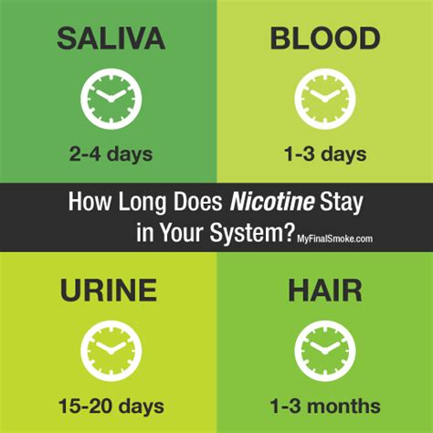 How long does cocaine stay in the hair? How long does nicotine stay in your system - SkySeaTree