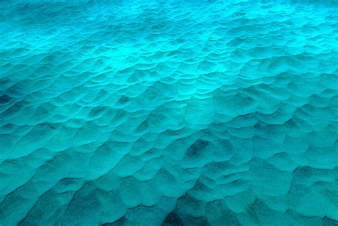 Ocean Floor Stock Photos Pictures And Royalty Free Images Istock