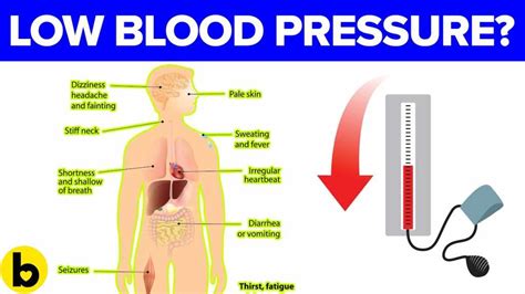 What Causes Low Blood Pressure What Causes Low Blood Pressure