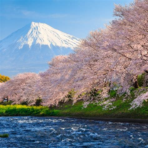 Japan is full of attractive places to visit, ranging from buddhist temples and shinto shrines to castles and gardens. Famous Places or Landmarks to Visit While in Japan | USA Today