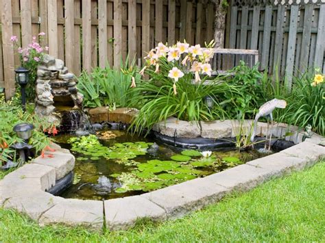 Information On How To Build A Small Pond In Your Garden