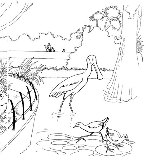 Search through 623,989 free printable colorings at getcolorings. Kids-n-fun.com | 21 coloring pages of Zoo