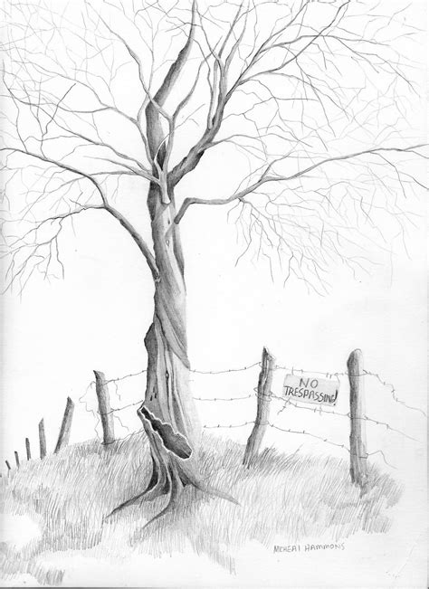 Pencil Drawing Of Trees