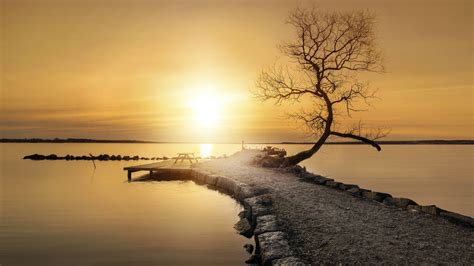Wallpaper Sunlight Trees Landscape Sunset Sea Lake Water
