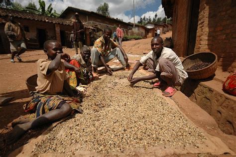 Közzétéve Itt Africa And Coffee