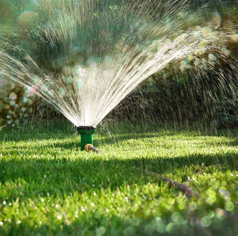 Tips For Watering Your Lawn Thriftyfun