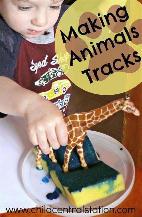 Making Animal Tracks Animal Tracks Zoo Animal Activities Zoo Activities