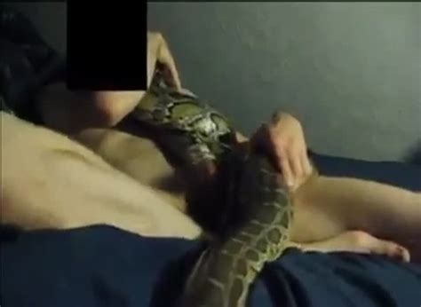 Guy Fucks A Snake