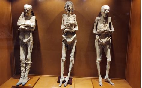 Momias De Guanajuato En Pleito Cancelan Proyecto De Nuevo Museo