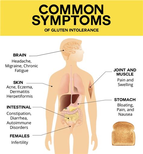 Common Symptoms Of Gluten Intolerance Paleo Foundation