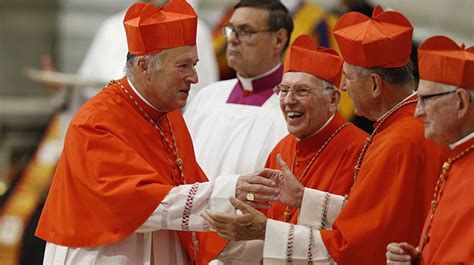 Cardinal Mcelroys Grand Deception Catholic World Report