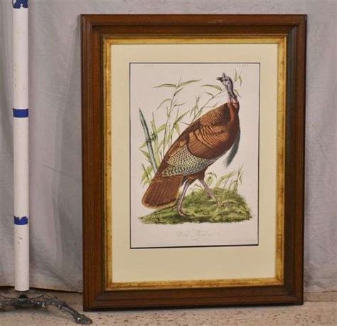 large framed print wild turkey by john j audubon 1054 634 r h lee and co auctioneers