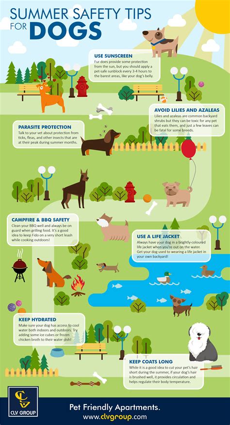Summer Safety Tips For Dogs Infographic Clv Group