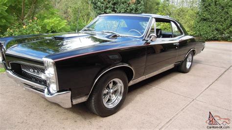 Pontiac Gto Coupe 1967 Fully Restored A Real Head Turner Starlight Black