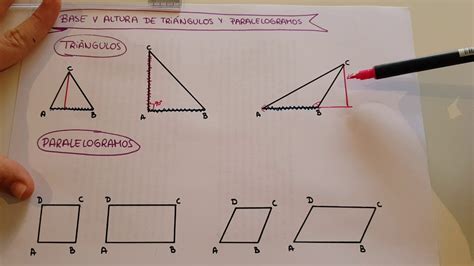 base y altura de triángulos y paralelogramos youtube