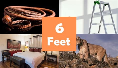 12 Things That Are About 6 Feet Ft Long