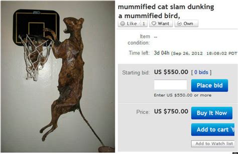 23 of the weirdest things ever auctioned on ebay gallery ebaum s world
