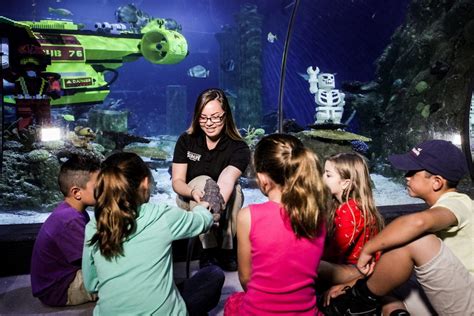 Go Behind The Scenes At Sea Life Michigan Littleguide Detroit