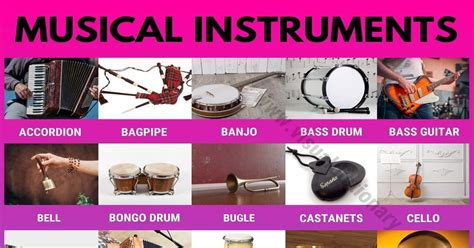 Musical Instruments List Of 50 Popular Musical Instruments Visual