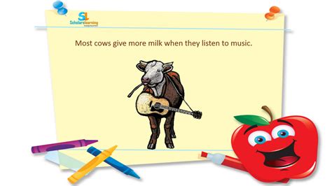 Funfact 01 Most Cows Give More Milk When They Listen To Music