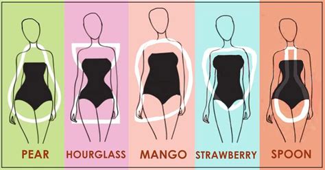 An oval body shape is one of the common body types of women. By Sameeksha Thomas