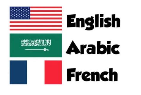Translate French Arabic And English By Wegotya