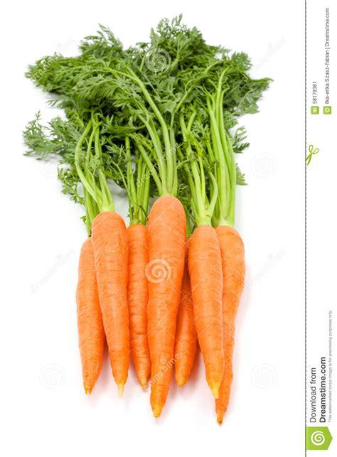 Carrots Daucus Carota Ssp Sativus Stock Image Image Of Healthy