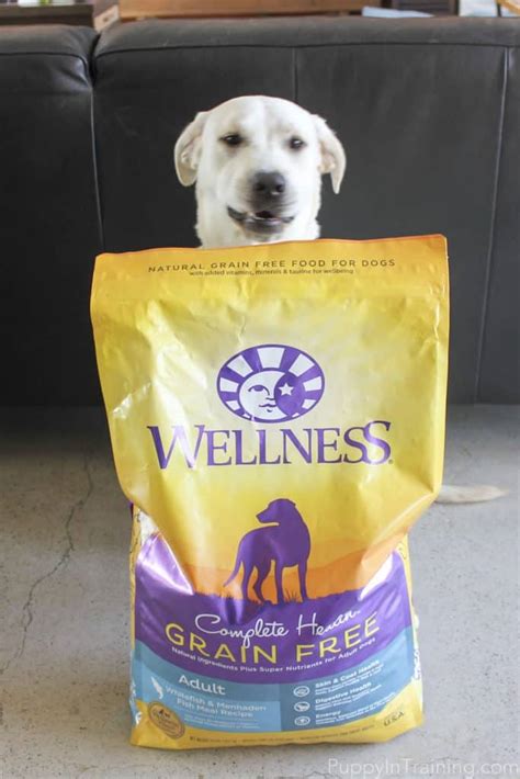 Mar 24, 2020 · how much homemade dog food to feed your dog note : Where Can I Get Wellness Grain Free And How Much Should I ...