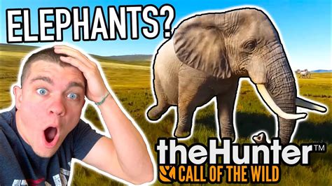 Hunting Elephants Hunter Call Of The Wild Ep37 Kendall Gray Youtube