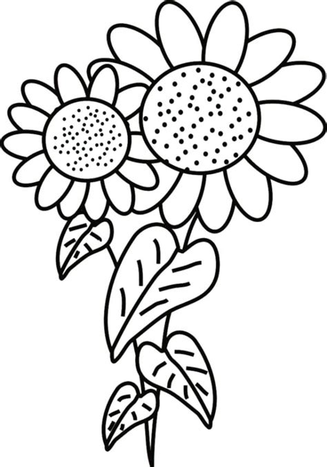 Some of the coloring page names are sunflowers coloring coloring, coloring sunflower coloring, sunflower coloring coloring, a big sunflower coloring, helianthus or sunflower colouring. Sunflower Coloring Pages Printable at GetDrawings | Free ...