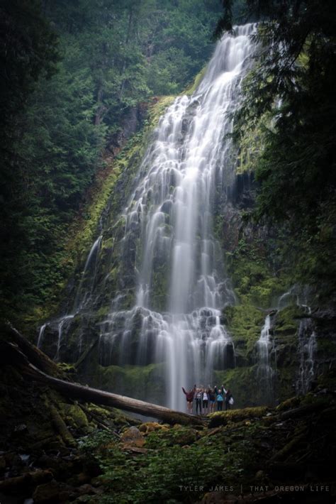 Proxy Falls Is One Of Oregons Most Gorgeous Hikes
