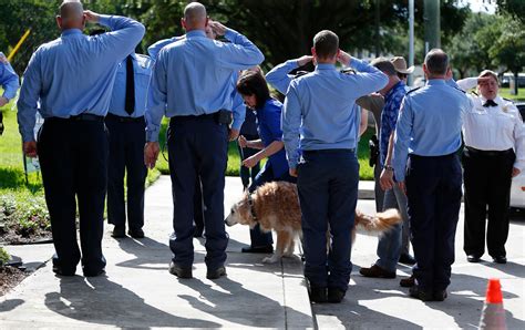 Mourning Bretagne A Search Dog And Symbol Of 911 Heroism The New