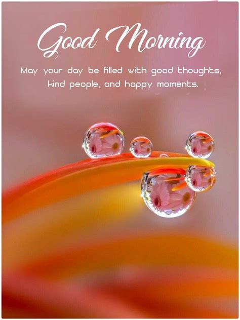 Good Morning Wishes Messages For Lover Artofit