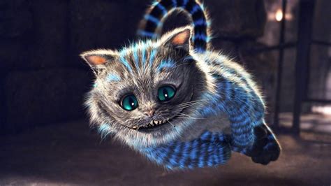 Animated Cat Wallpapers Top Free Animated Cat Backgrounds