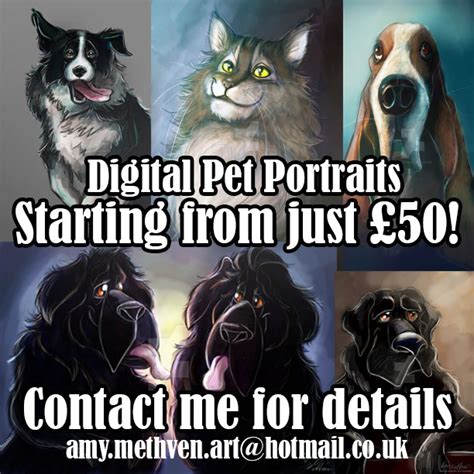 Digital Pet Portrait Commissions Advert By Mad Munchkin On Deviantart