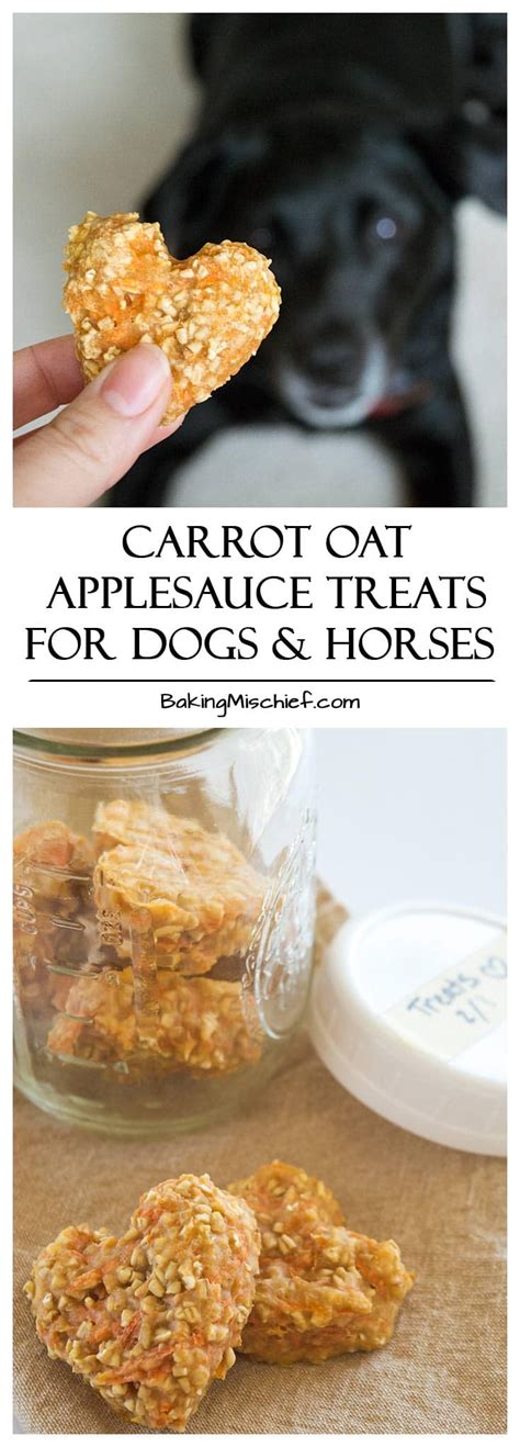 Carrot Oat Applesauce Treats For Dogs And Horses In 2021 Dog Food