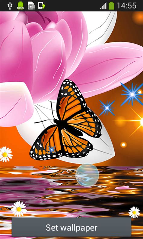 Butterfly Desktop Wallpaper Hd 3d Full Screen Nature 1920x1080