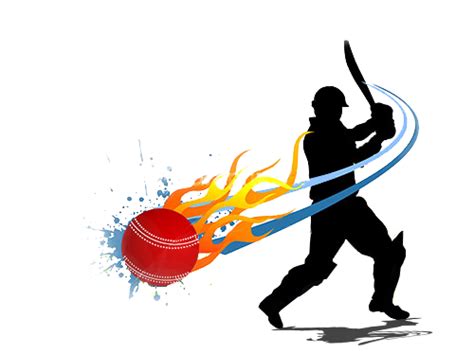 Cricket Png Images Transparent Free Download