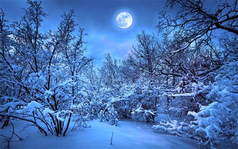 Download Wallpapers 4k Winter Forest Night Moon Snowdrift For