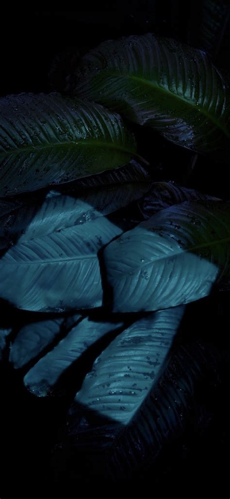 Terkeren 14+ Wallpaper Keren Gelap - Richa Wallpaper