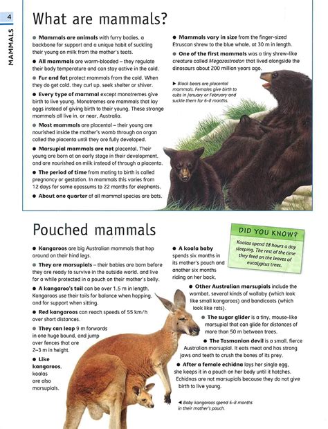 The Ultimate Guide Animal – BookXcess