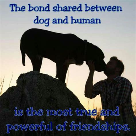 The Bond Shared Between Dog And Human Is The Most True And Powerful Of