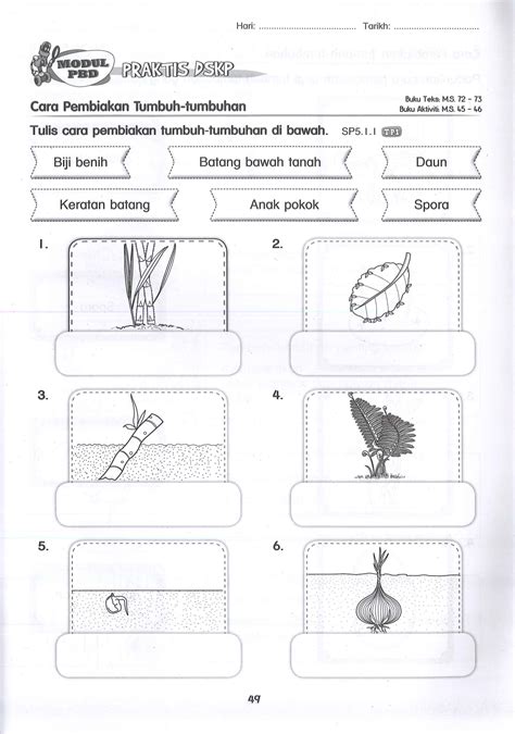 Lembaran kerja bahasa melayu tahun 2 malay language preschool math worksheets math activities preschool. Haiwan Lembaran Kerja Sains Tahun 3