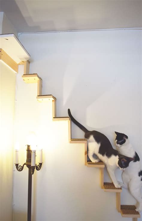 cat staircase cat climbing shelves cat climbing wall cat climbing