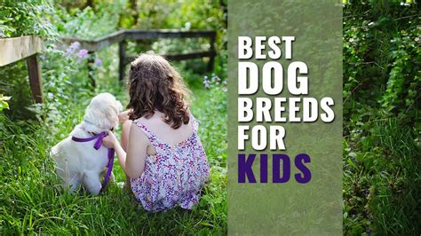 10 Best Dog Breeds For Kids And Families Petmoo
