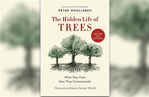 The Hidden Life Of Trees How Forests Communicate Joegardener®